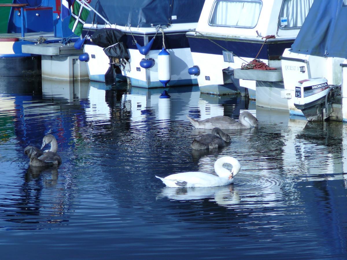 The Boat House Hotel Kilsyth Luaran gambar